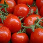 مولدوفا تتصدر مشتريات الطماطم الأوكرانية في 2025