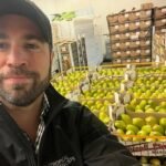 قلق بشأن أسعار المانجو البيروفية