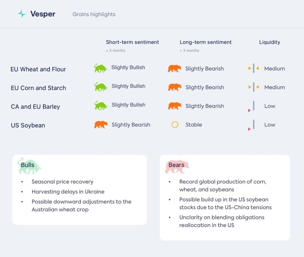 الحبوب نصف الشهرية: فائض عالمي يغذي منافسة شرسة بين البائعين