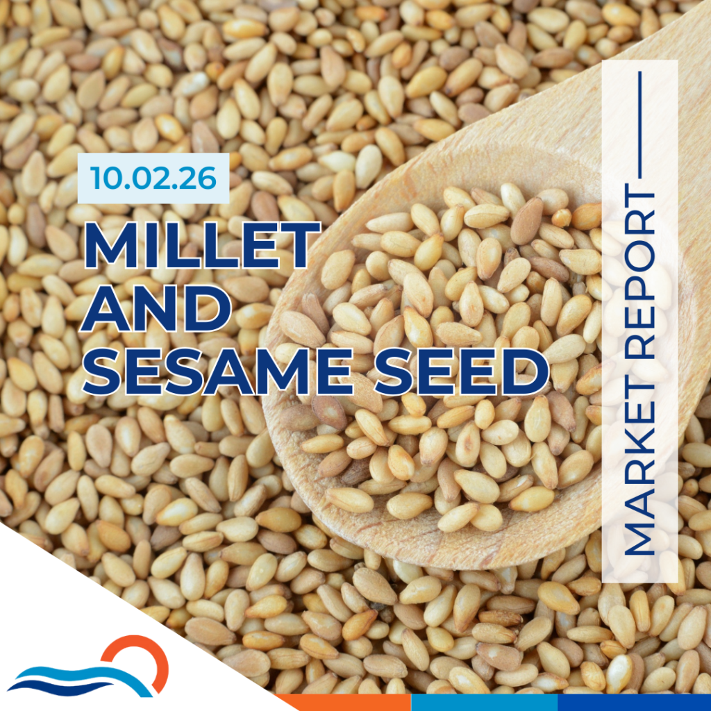 تقرير سوق الدخن وبذور السمسم 10.02.26