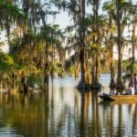 اعتقال شخصين في لويزيانا بتهمة بيع سمك السلور بشكل غير قانوني