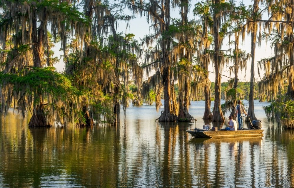 اعتقال شخصين في لويزيانا بتهمة بيع سمك السلور بشكل غير قانوني