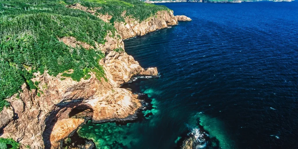 نيوفاوندلاند تسحب مقترح منطقة الحفاظ على البيئة البحرية