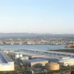 Nordic Aquafarms تنسحب من مشروع سمك الذيل الأصفر في كاليفورنيا