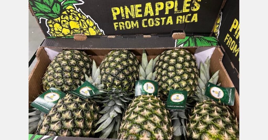 الطقس المشمس ضروري لزيادة استهلاك الفاكهة الاستوائية