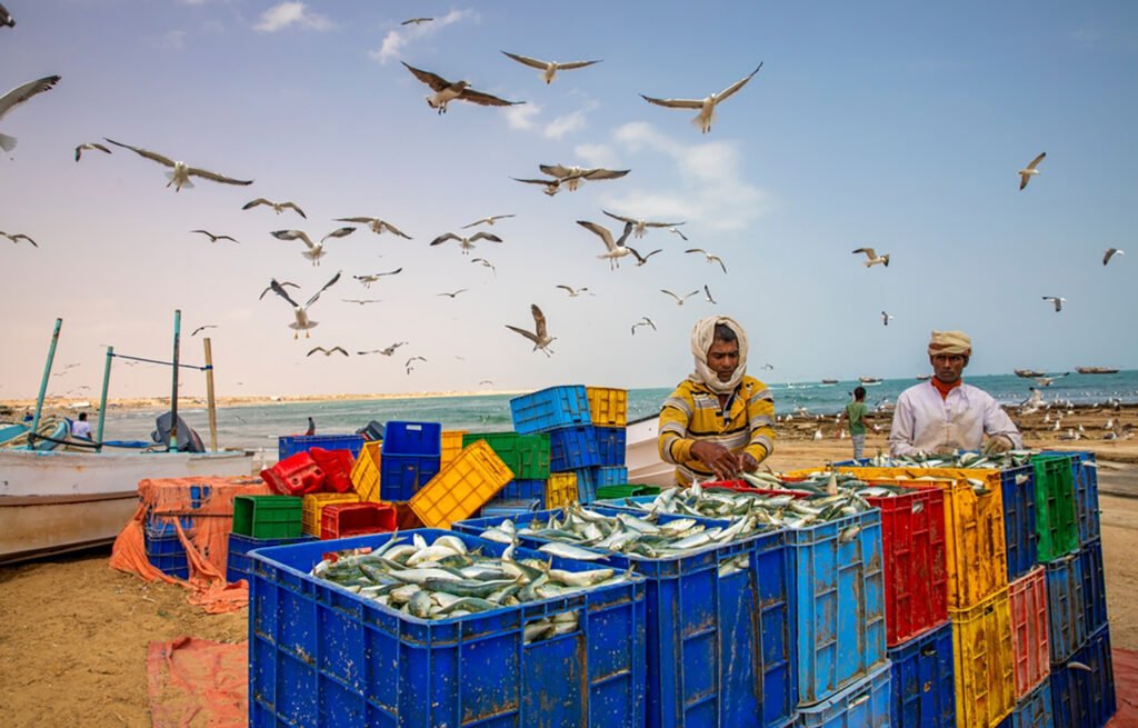 منظمة التجارة العالمية تمنح مساعدات مالية للدول النامية لتطبيق اتفاقية دعم مصايد الأسماك