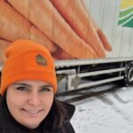 تباين حاد بين أسواق الجزر التقليدية والعضوية