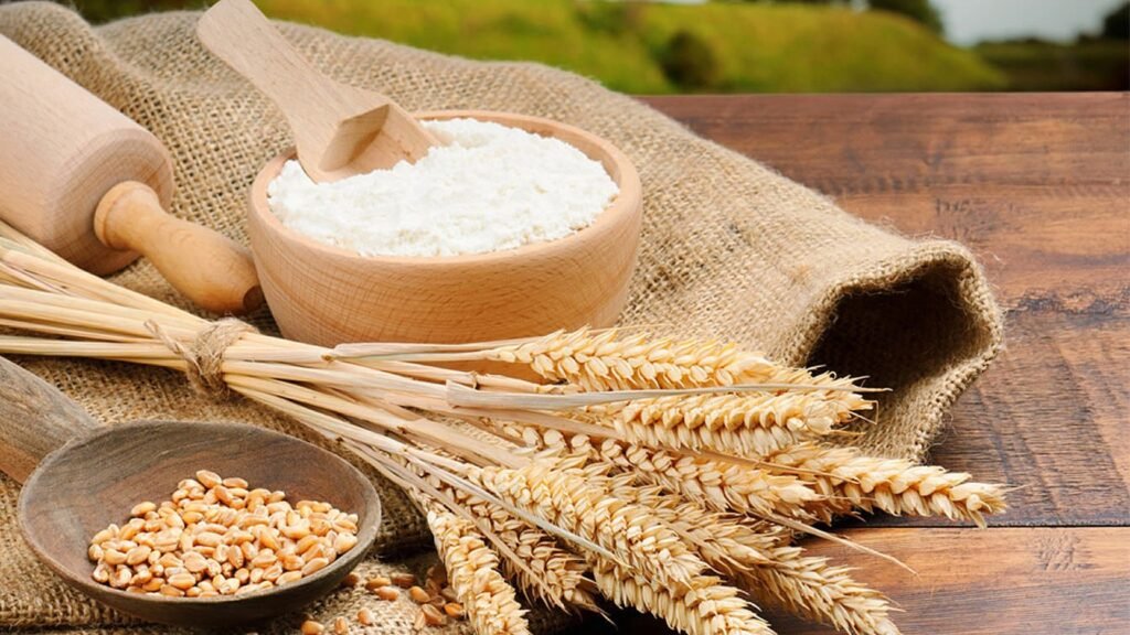 طاجيكستان تزيد واردات القمح وتخفض مشتريات الدقيق