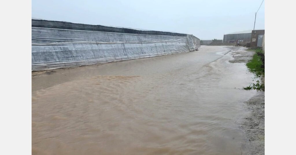 العاصفة كريستين تضرب ألميريا: دمار واسع النطاق للمحاصيل الزراعية