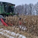 أوكرانيا تستأنف حصاد الذرة