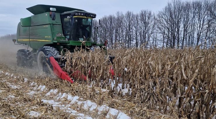 أوكرانيا تستأنف حصاد الذرة