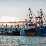 المملكة المتحدة تطلق مشاورات حول خطط جديدة لإدارة مصايد الأسماك