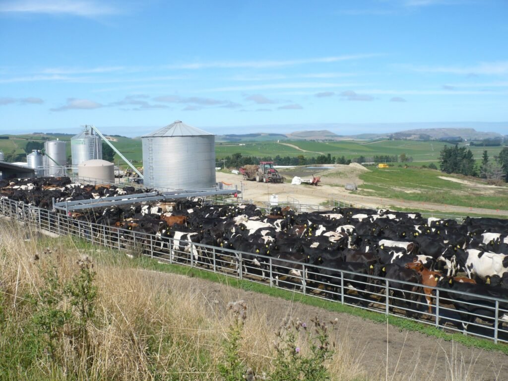 حث مزارعي الألبان على فحص أنظمة التبريد في المزرعة