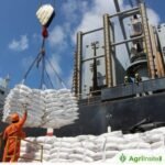 قيرغيزستان تحصل على ميزة استيراد السكر: دعم للإنتاج المحلي