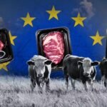 صفقة التجارة الأسترالية-الأوروبية تثير قلقًا في قطاع الألبان