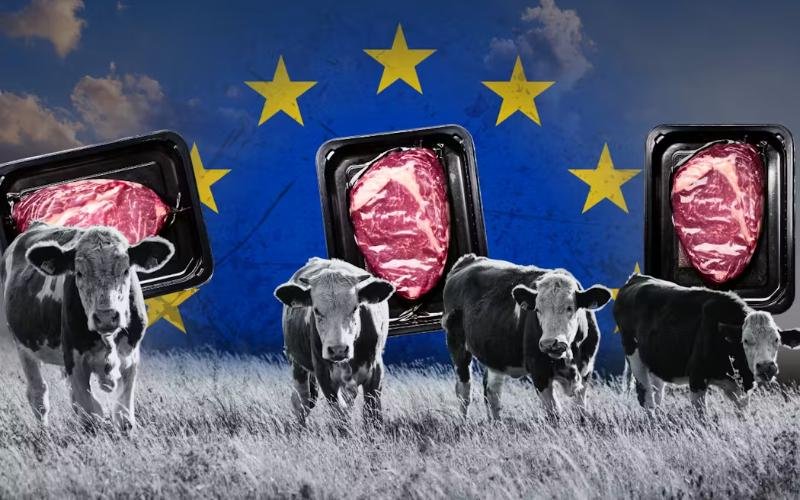 صفقة التجارة الأسترالية-الأوروبية تثير قلقًا في قطاع الألبان