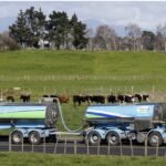 فونتيرا تقدم تحديثًا لأسعار الحليب في المزرعة والأرباح