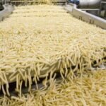 تراجع صادرات البطاطا المقلية المجمدة من الاتحاد الأوروبي: انخفاض الأسعار لا يكفي