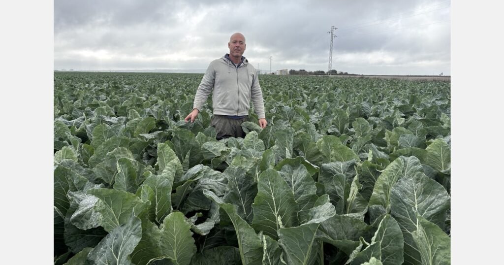 أمطار غزيرة تغرق حقول قادس وتجبر القرى على الإخلاء