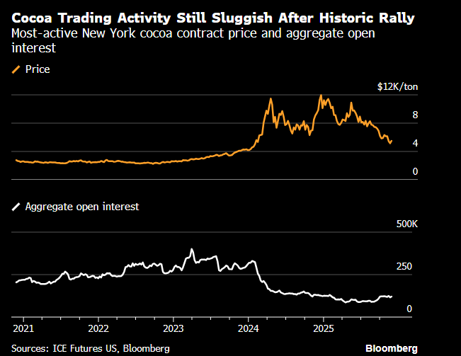 ارتفاع أسعار الكاكاو: هل سيستمر؟