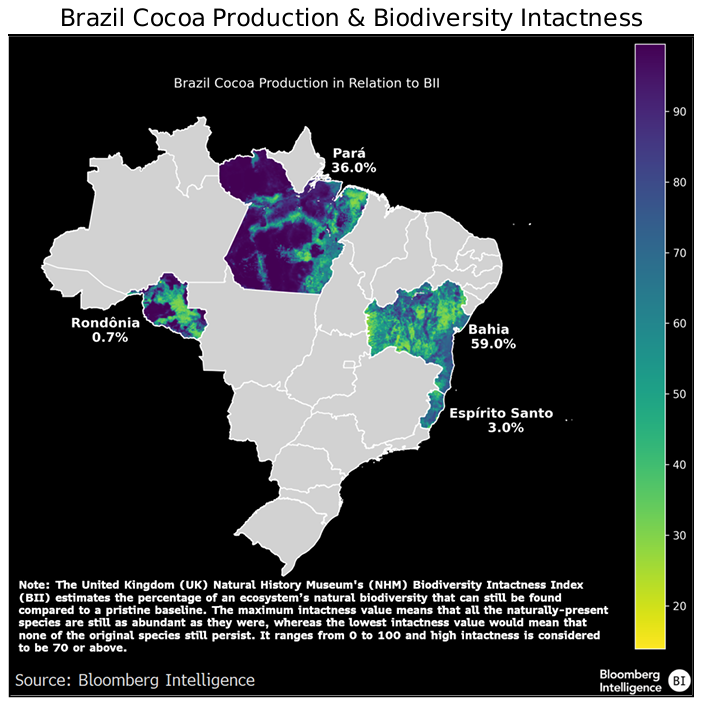 في سوق الكاكاو: تقلبات وأخبار من مالطا