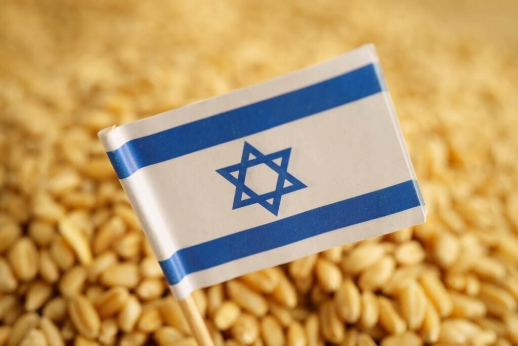 إسرائيل تدرس فرض قيود على واردات القمح من البحر الأسود بعد اتفاق تجاري مع أمريكا