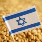 إسرائيل تدرس فرض قيود على واردات القمح من البحر الأسود بعد اتفاق تجاري مع أمريكا