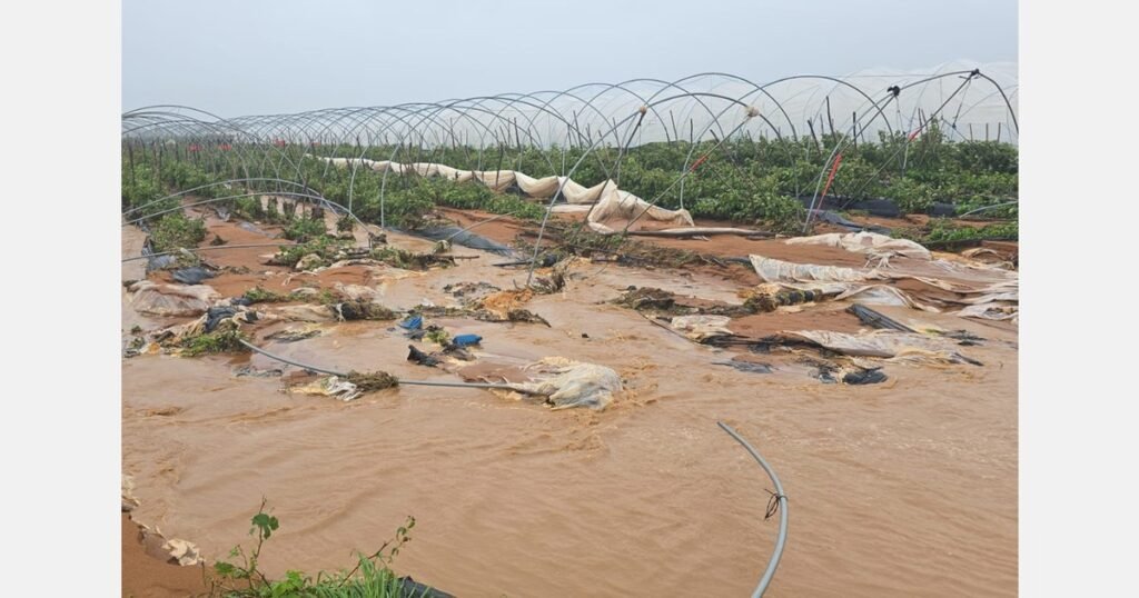 لم أر ظروفًا بهذه القسوة في ولبة منذ أكثر من 30 عامًا