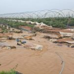 لم أر ظروفًا بهذه القسوة في ولبة منذ أكثر من 30 عامًا