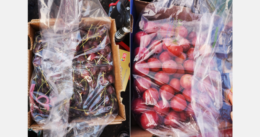 الكرز يعود بقوة والبرقوق بأسعار مغرية: نظرة على سوق الفاكهة