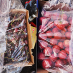 الكرز يعود بقوة والبرقوق بأسعار مغرية: نظرة على سوق الفاكهة