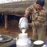 ارتفاع أسعار الحليب في الهند ينعش مزارع الألبان النيباليين