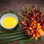 ضغط سلبي وانخفاض طفيف في سوق زيت النخيل الصيني