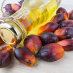 زيت النخيل الماليزي: أسبوع آخر من التراجع وسط ضغوط السوق