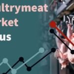 أوزان الدجاج اللاحم في المملكة المتحدة تسجل مستوى قياسي جديد في يناير مع ارتفاع إنتاج لحوم الدواجن