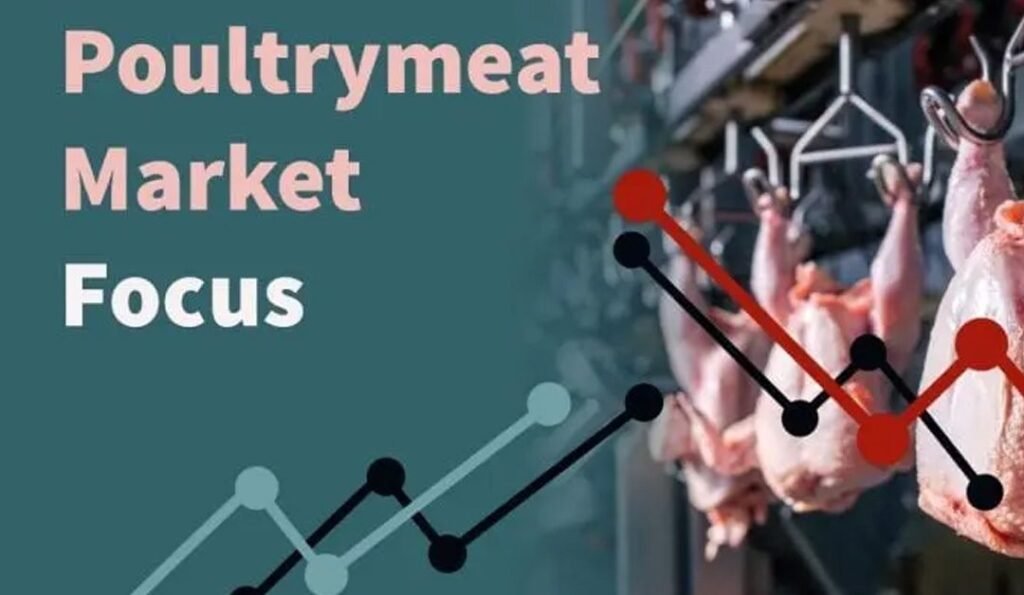 أوزان الدجاج اللاحم في المملكة المتحدة تحطم الأرقام القياسية في يناير مع ارتفاع إنتاج الدواجن