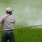 ساحل العاج يطلق خطة جريئة لإعادة شراء الكاكاو لإنقاذ السوق