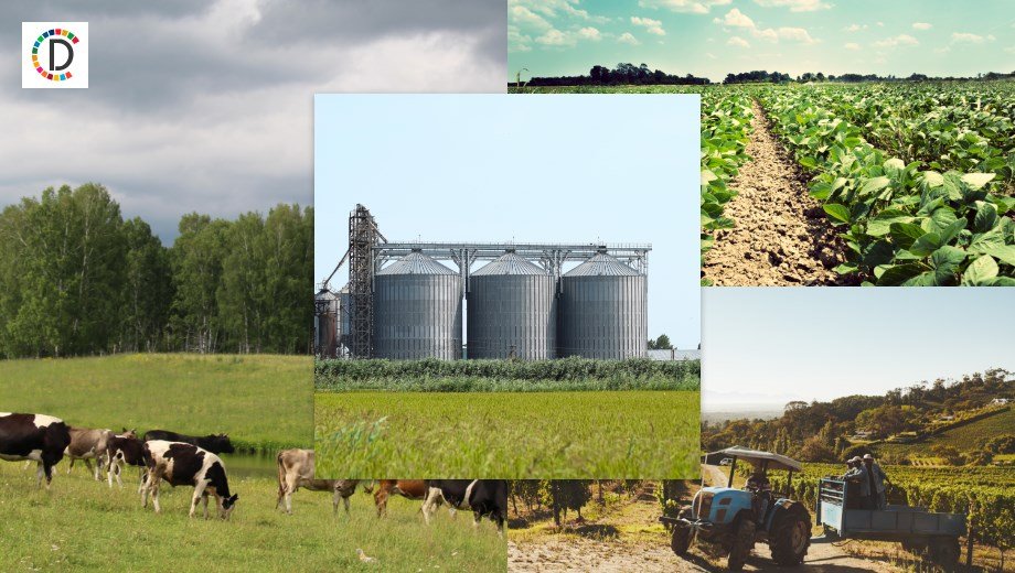 الهند تسمح بتصدير القمح: 2.5 مليون طن متري للخارج