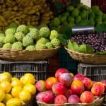 جنوب أفريقيا تشهد زيادة كبيرة في حصاد الذرة لعام 2025