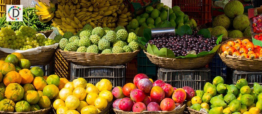 جنوب أفريقيا تشهد زيادة كبيرة في حصاد الذرة لعام 2025