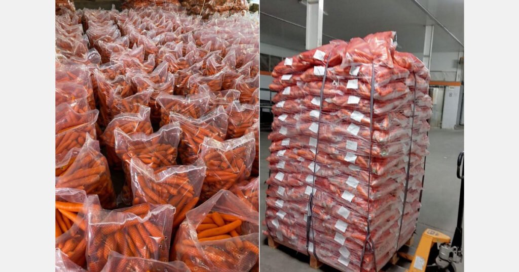 حان الوقت لمستوردي الجزر لإبرام العقود