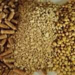 تأثير سياسة استيراد وجبة فول الصويا الإندونيسية على أرباح الدواجن في عام 2026