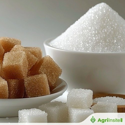 مصر تسمح بتصدير السكر لتخفيف فائض مليون طن