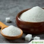 الموسم 2025-26: تحديثات إنتاج السكر من NFCSF حتى 31 يناير