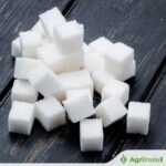 صفقة التجارة بين الهند والولايات المتحدة تحمي قطاع السكر