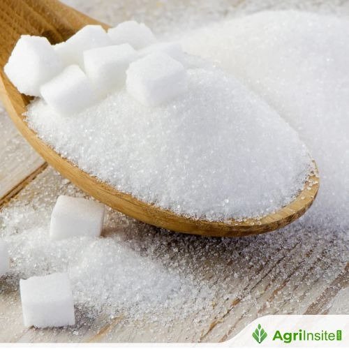 تحديثات السوق الصباحية