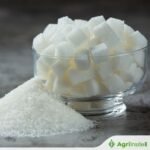 تحديث السوق الصباحي