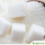 تسجل ولاية أوتار براديش أعلى قفزة في استخلاص السكر هذا الموسم