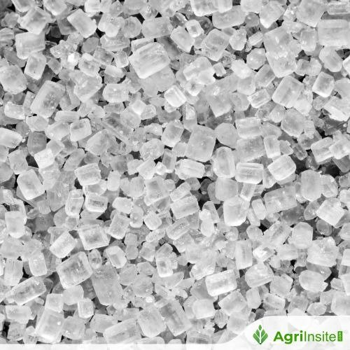 توقف إنتاج السكر في إندونيسيا بسبب تأخيرات تراخيص الاستيراد