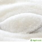 نائب رئيس وزراء كارناتاكا يتساءل عن تقاعس الحكومة عن رفع سعر السكر